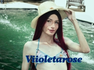 Viioletarose