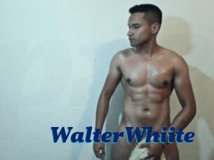 WalterWhiite