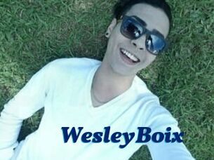 Wesley_Boix