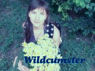 Wildcumster