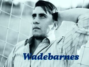 Wadebarnes