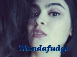 Wandafudge