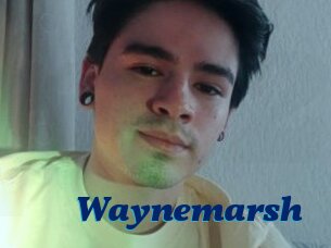 Waynemarsh