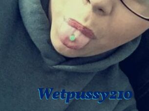 Wetpussy210