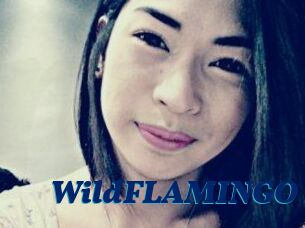 WildFLAMINGO