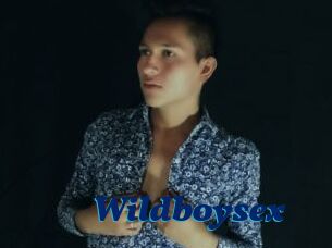 Wildboysex