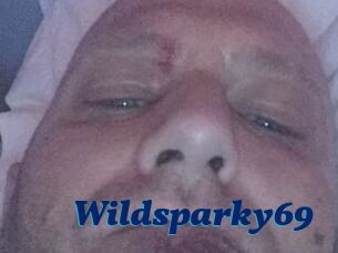 Wildsparky69