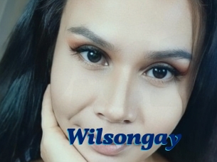 Wilsongay