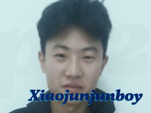 Xiaojunjunboy