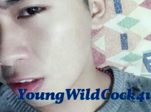 YoungWildCock4u