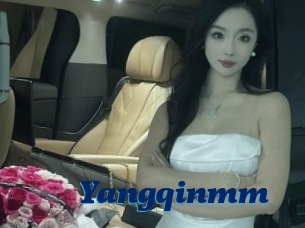 Yangqinmm