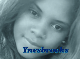 Ynesbrooks