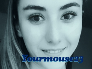 Yourmouse23