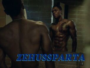 ZEHUS_SPARTA