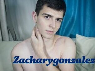 Zacharygonzalez