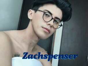 Zachspenser